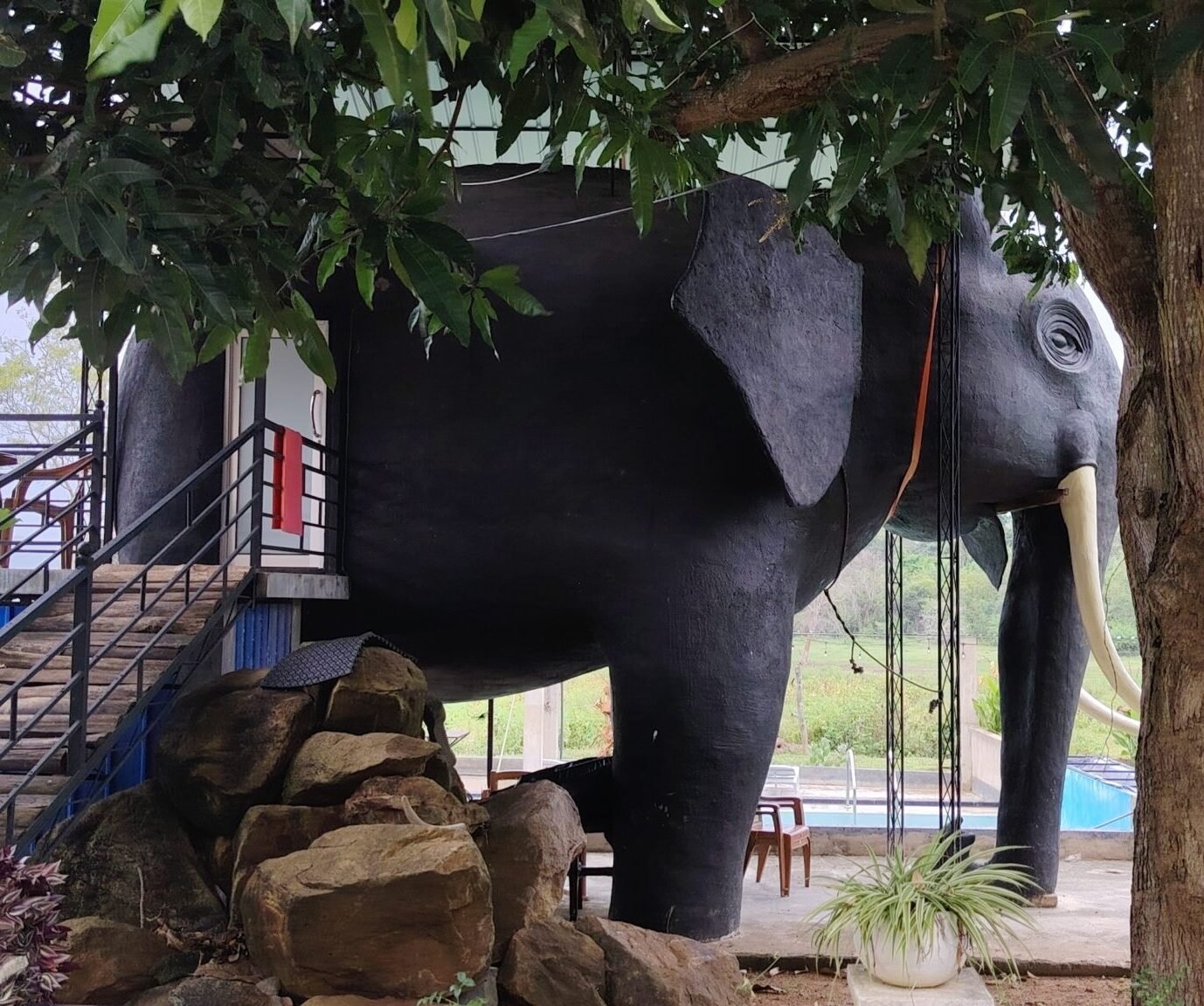 img 20260405 161544 scaled e1775414765616.jpg