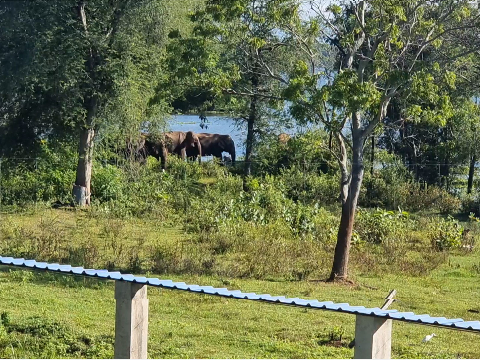 Projects untitled design 17.png