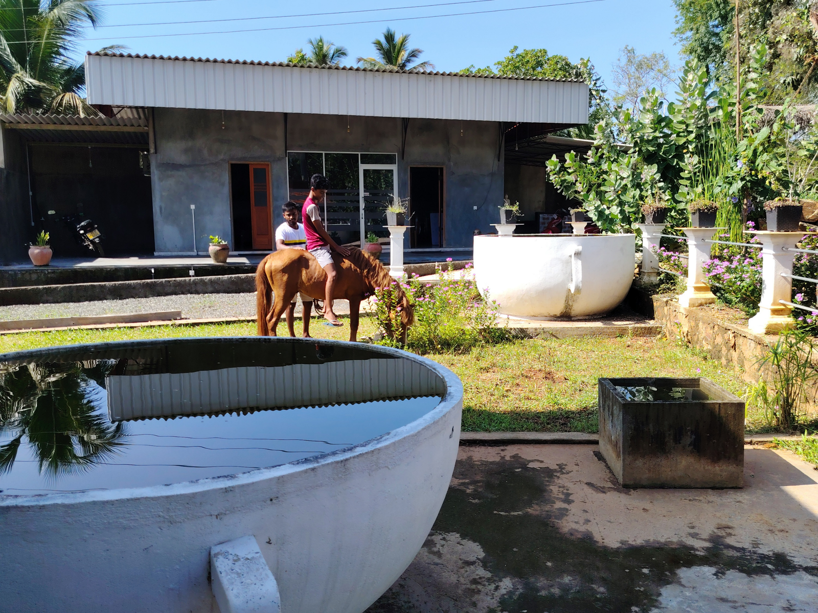 Home untitled design 9.png